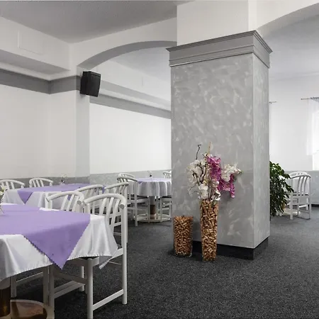 Hotel Ferdinand 3* Marianske Lazne